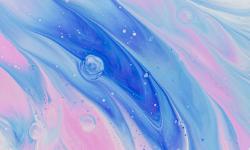 Featured image of post Hello World of Website Building